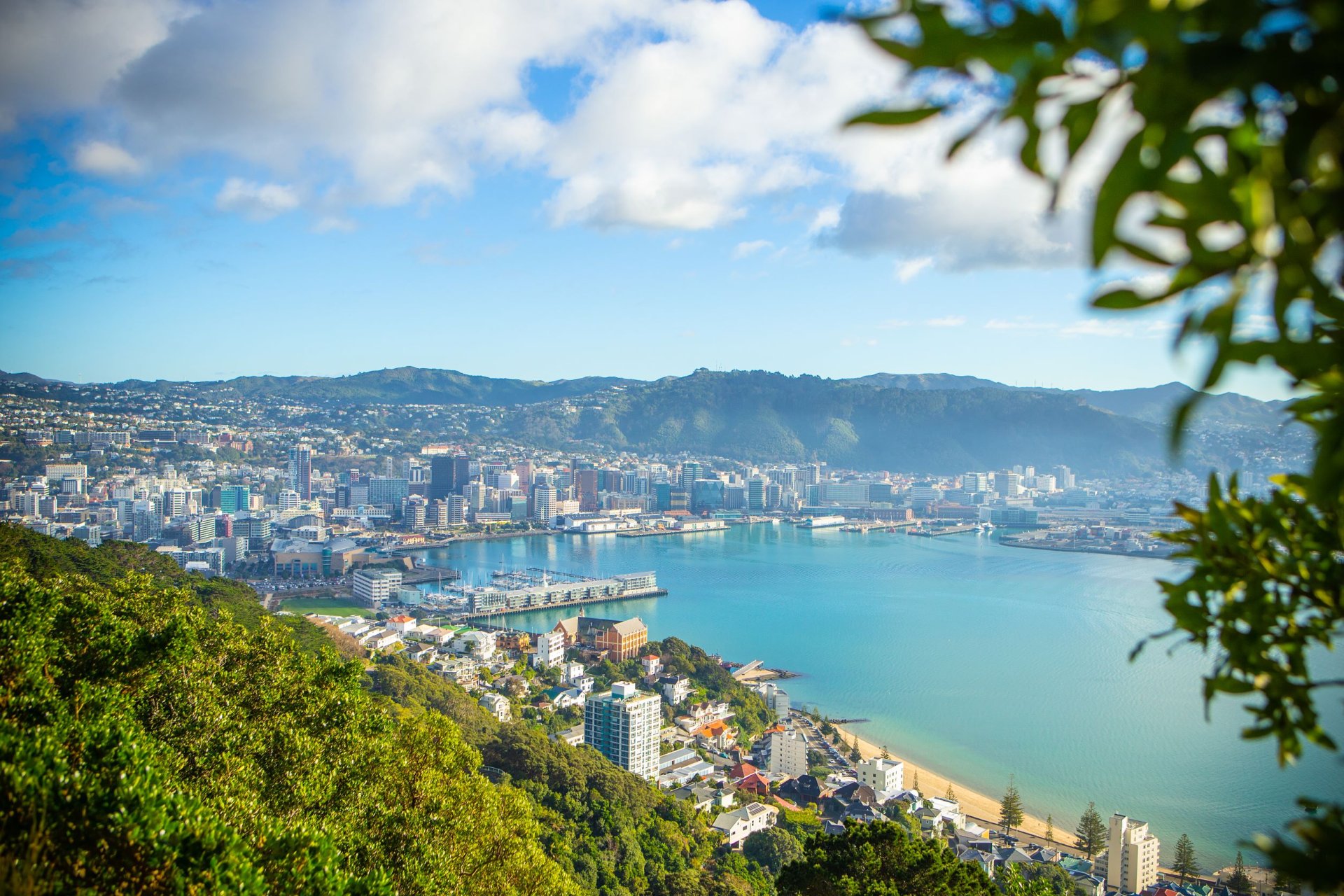 Wellington Wellington