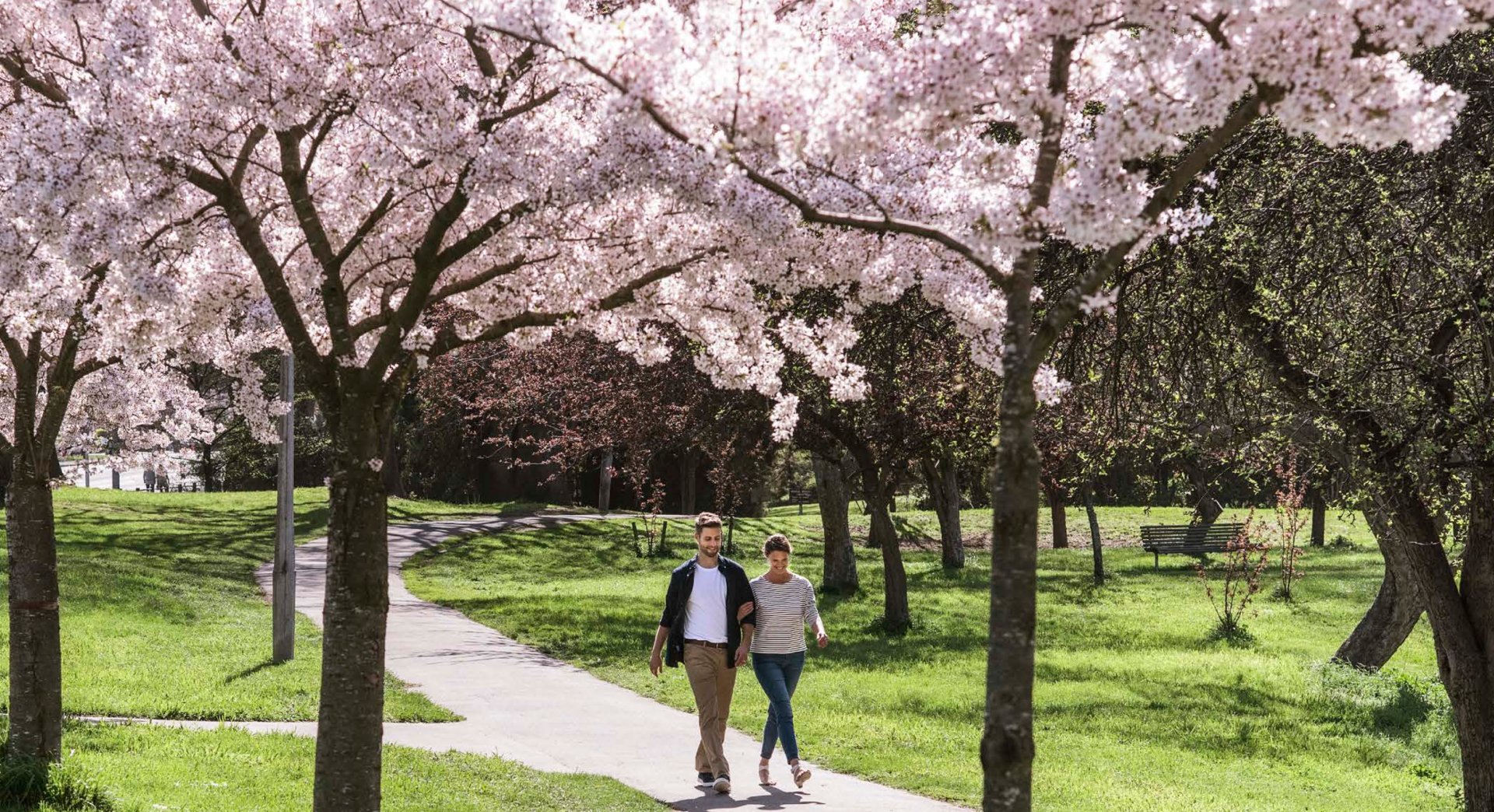 Hagley Park Christchurch