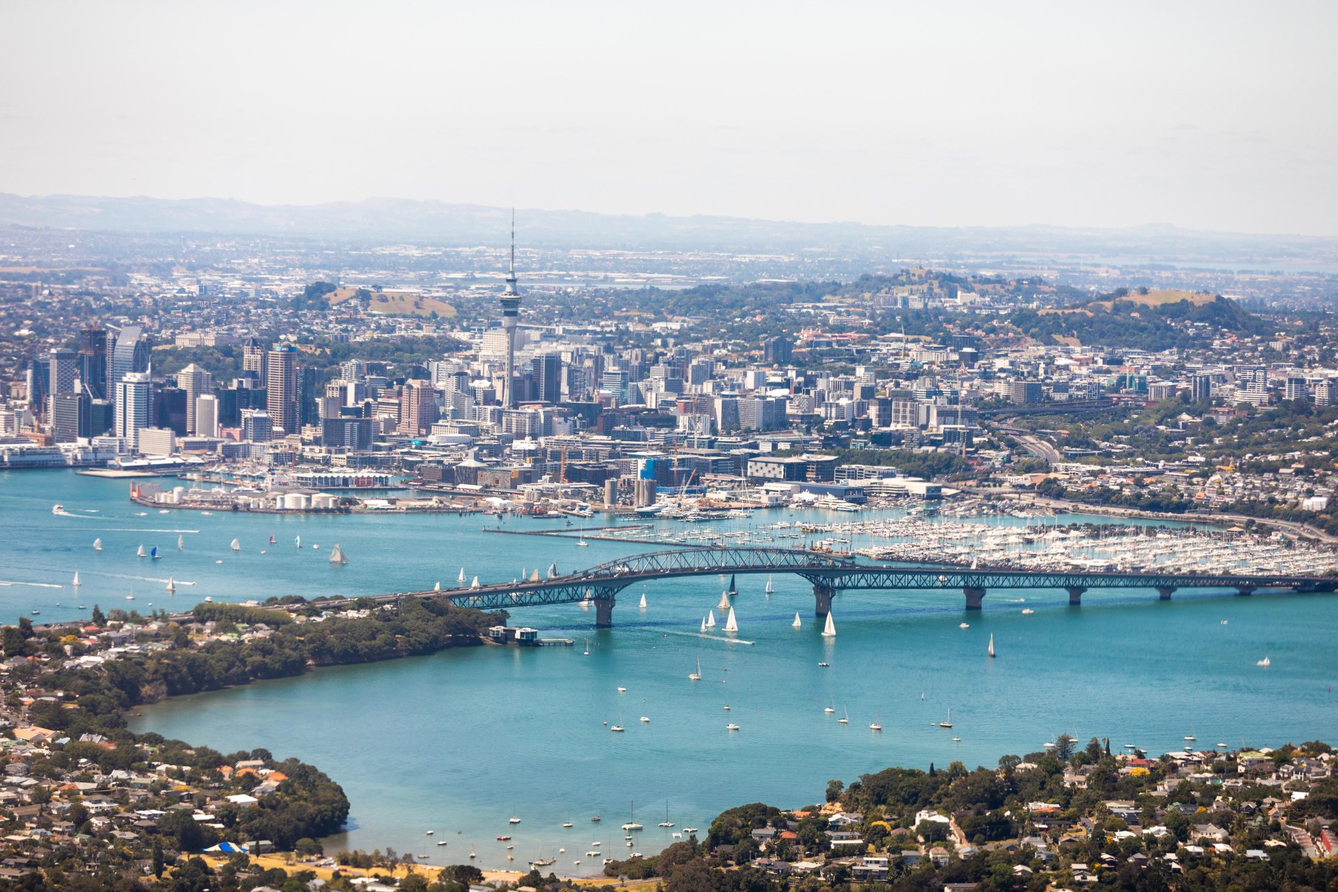 Auckland Auckland