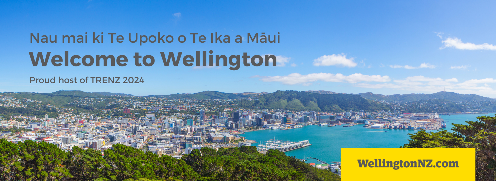 WellingtonNZ_TRENZ Banner_2580x940 (1)