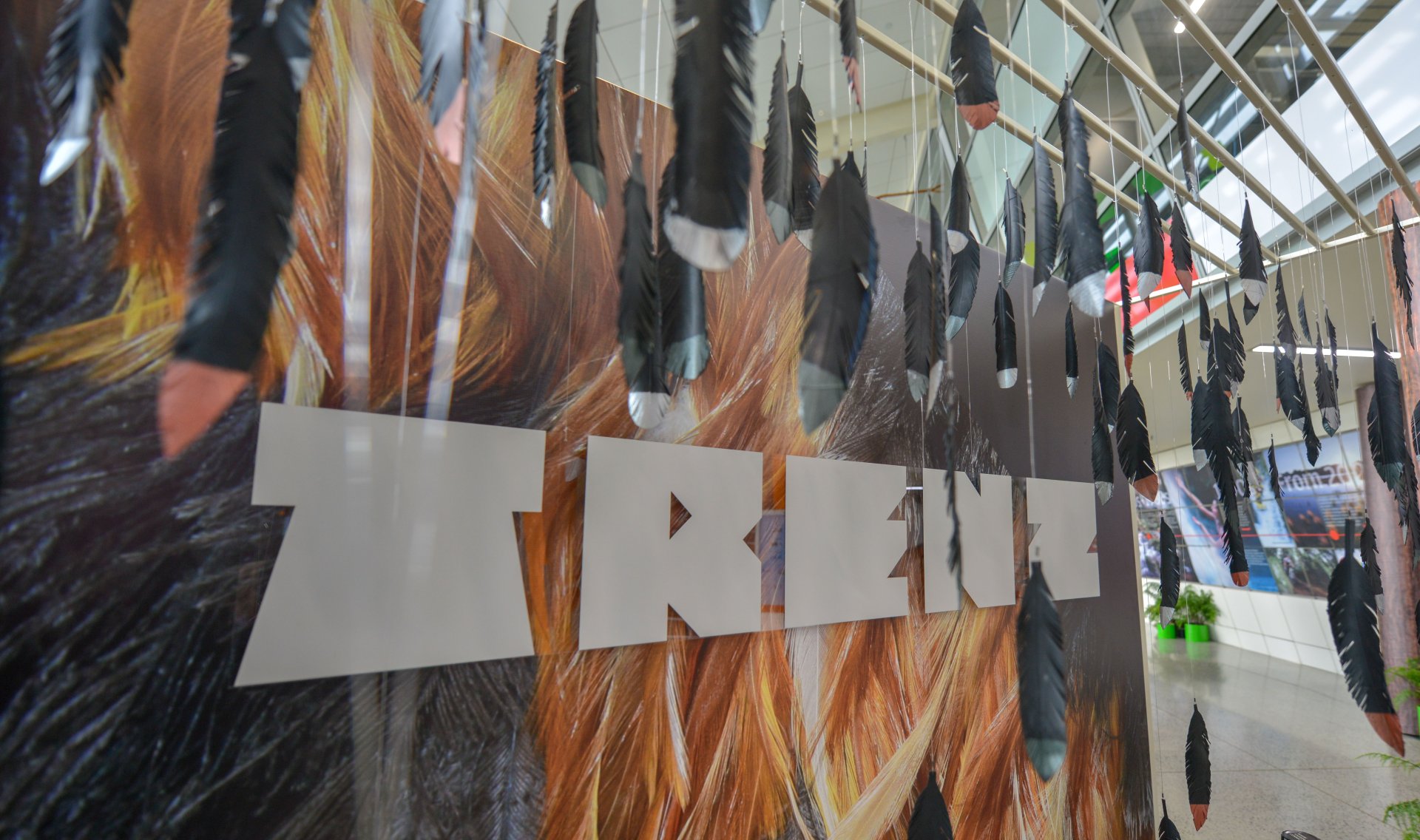 Decorative TRENZ sign with feathers. TRENZ foyer