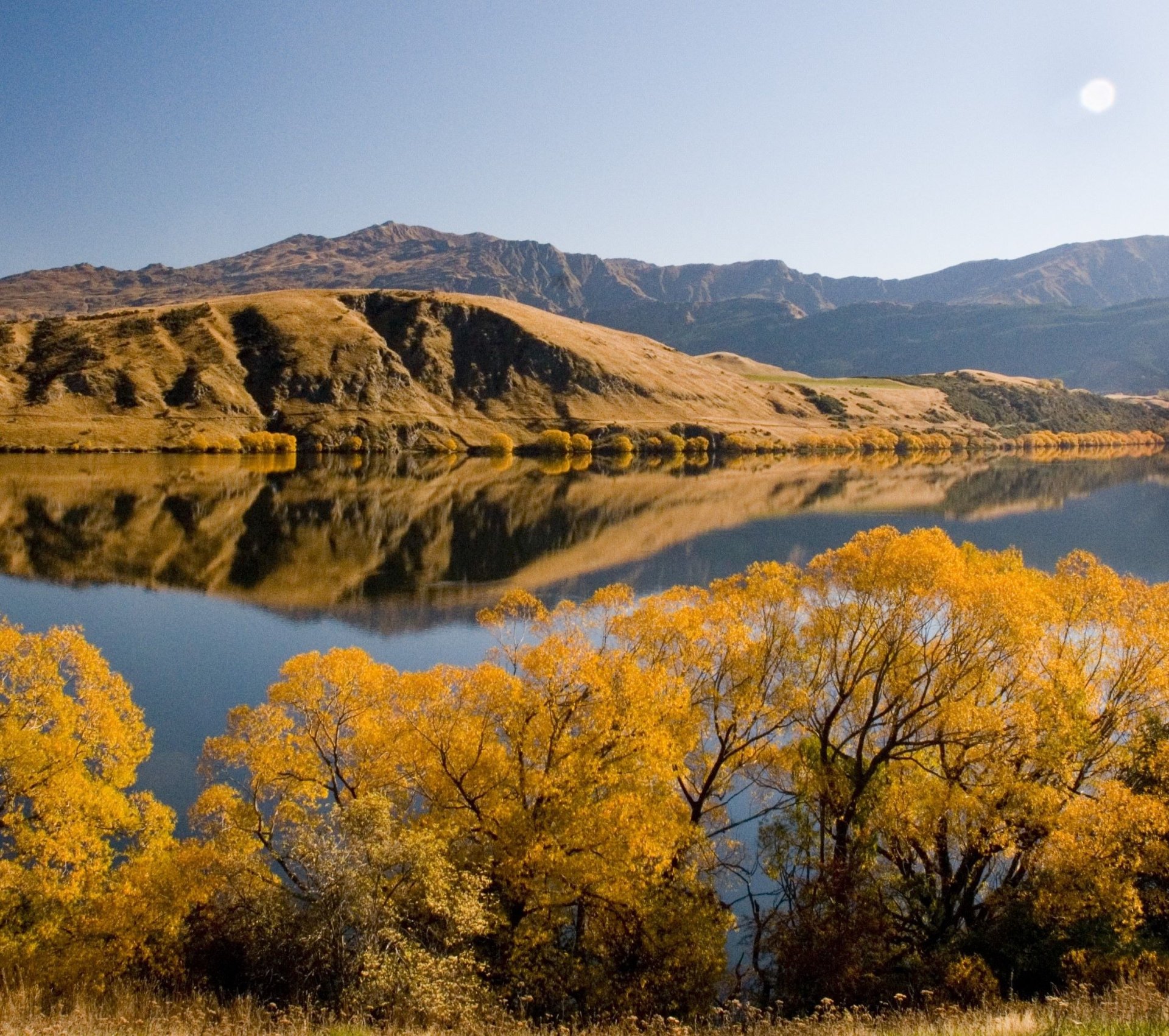 Autumn in Lake Hayes_SQ